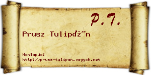 Prusz Tulipán névjegykártya